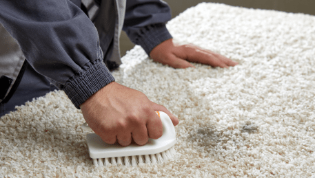 Professional Rug Cleaning Wattle Glen